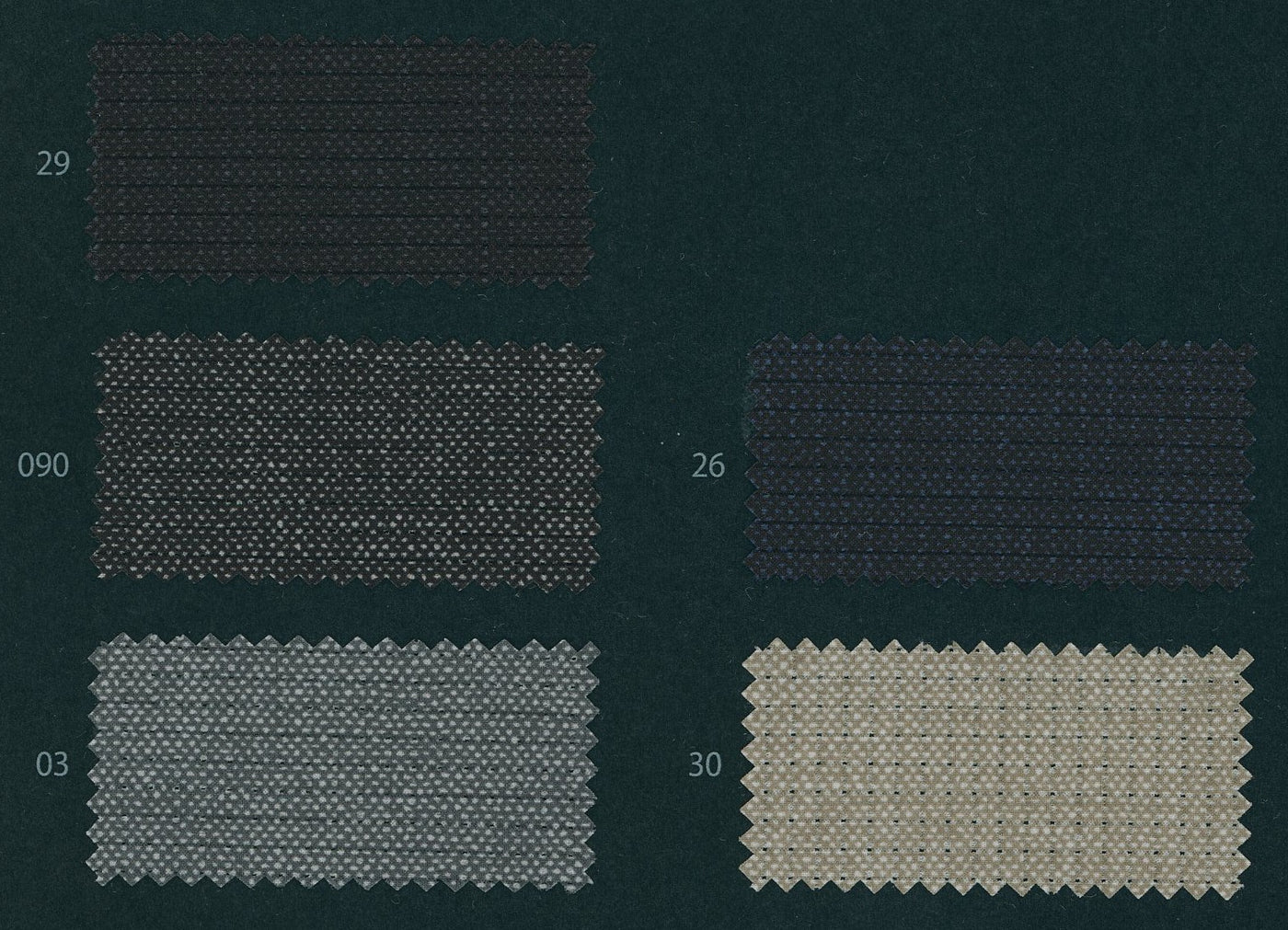 1060717_COOL DOTS HOMESPUN PRINT