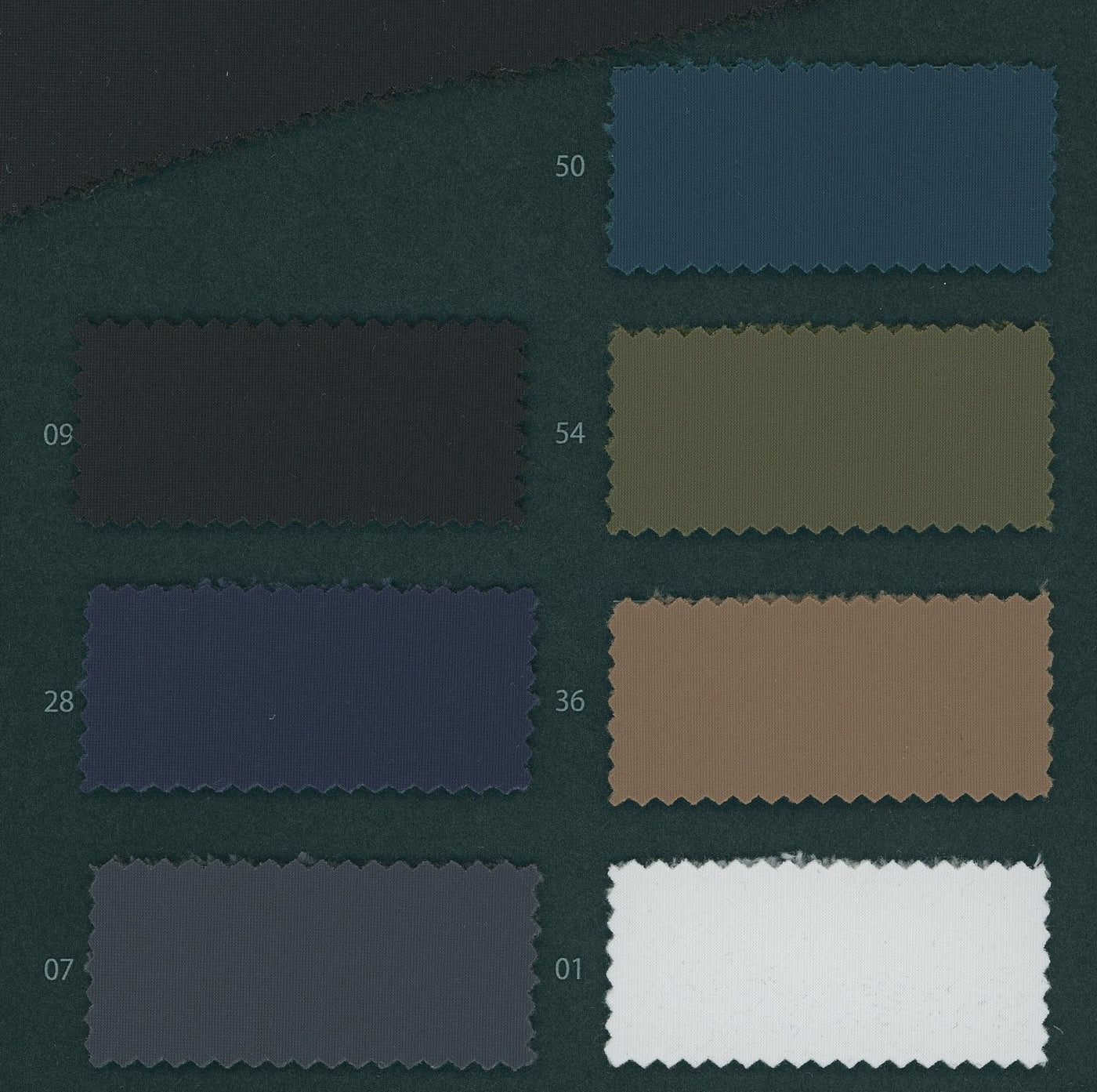 1099355_NYRON TRICOT 3-LAYER FLEECE LINING [A HYBRID MATERIAL WITH AN IRRESISTIBLE TEXTURE]