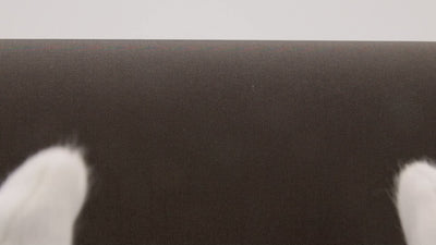 34-13185-swatch_CHAMBRAY MEMORY TAFFETA